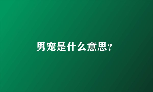 男宠是什么意思？