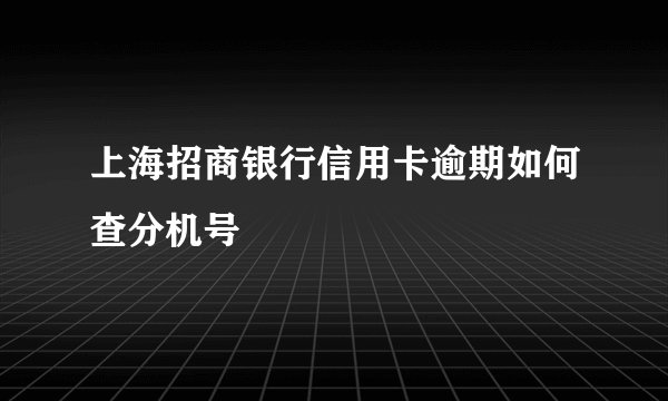 上海招商银行信用卡逾期如何查分机号