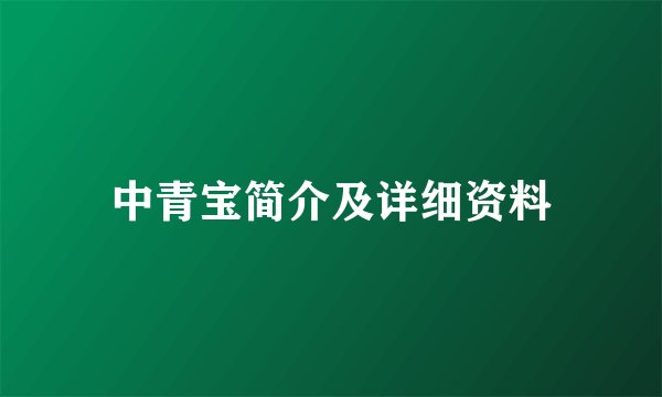 中青宝简介及详细资料