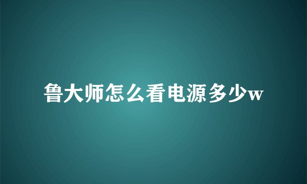 鲁大师怎么看电源多少w