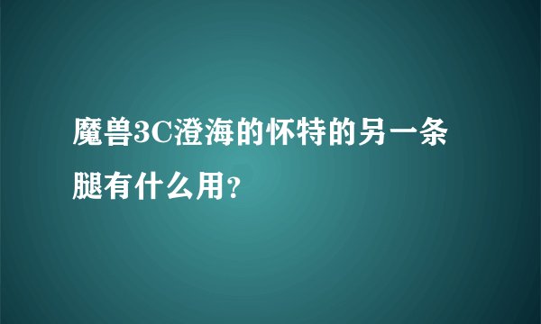 魔兽3C澄海的怀特的另一条腿有什么用？