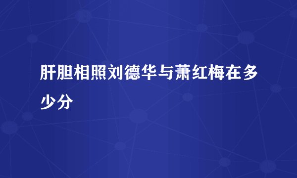 肝胆相照刘德华与萧红梅在多少分
