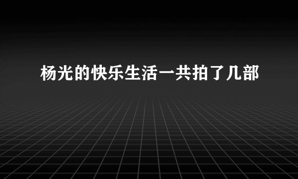 杨光的快乐生活一共拍了几部