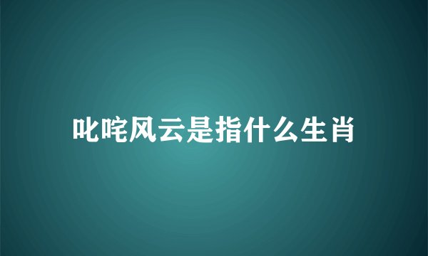 叱咤风云是指什么生肖