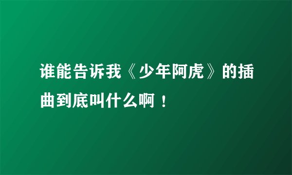 谁能告诉我《少年阿虎》的插曲到底叫什么啊 ！