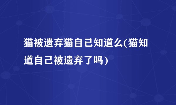 猫被遗弃猫自己知道么(猫知道自己被遗弃了吗)