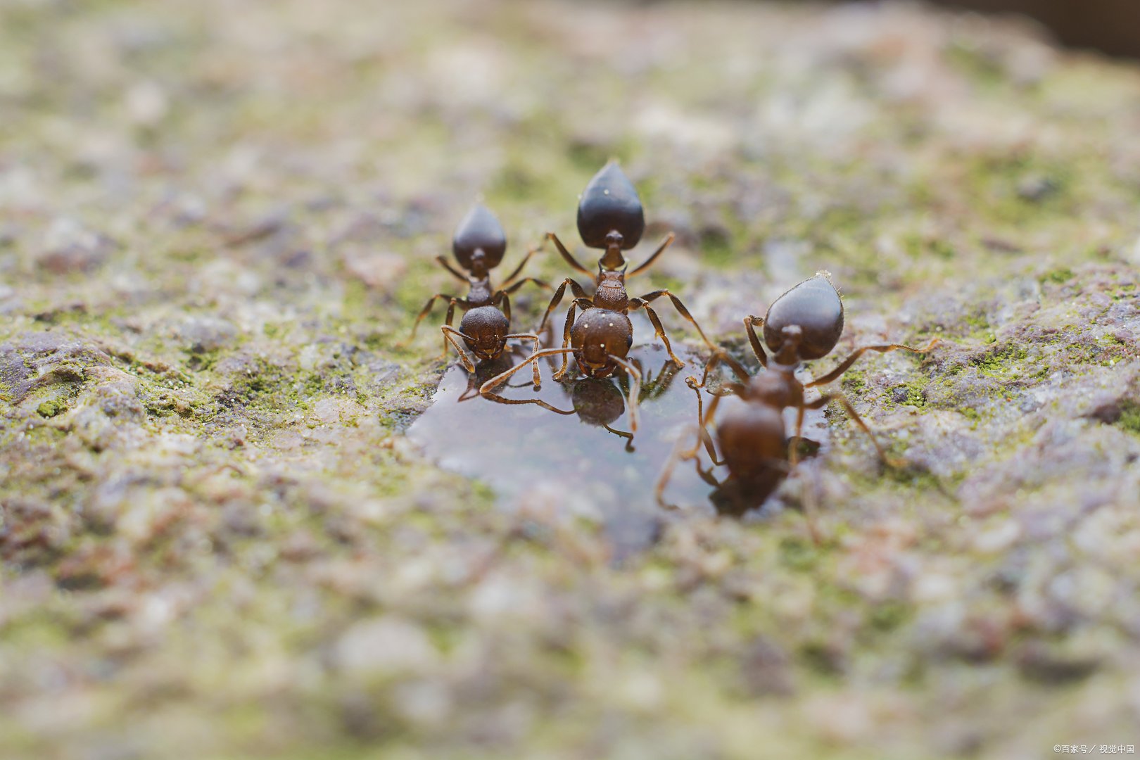蚂蚁金服上市最新进展，蚂蚁金服什么时候上市?你知道吗？