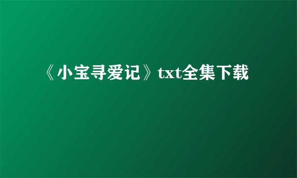 《小宝寻爱记》txt全集下载