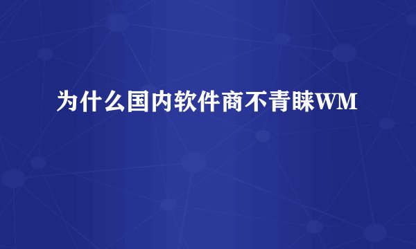 为什么国内软件商不青睐WM