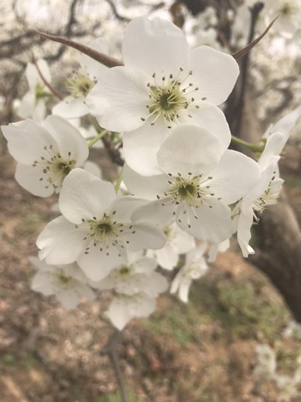 财付通是什么，怎样开通？