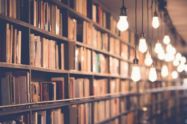 强烈推荐的多肉古文