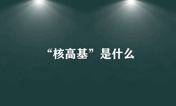 “核高基”是什么