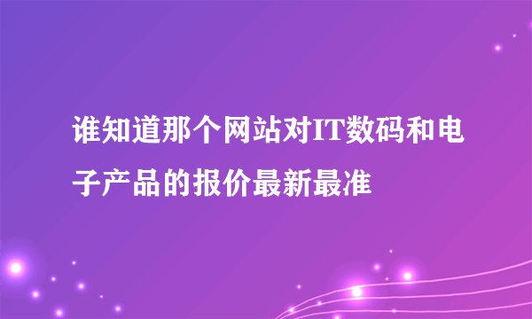 谁知道那个网站对IT数码和电子产品的报价最新最准