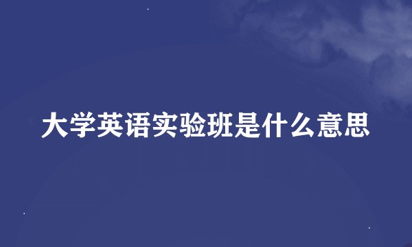 大学英语实验班是什么意思