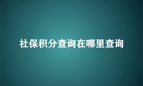 社保积分查询在哪里查询