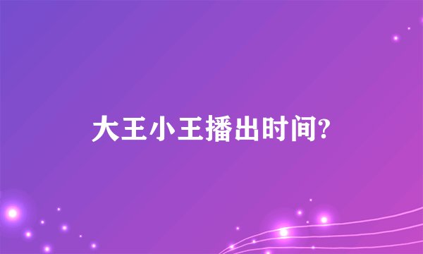 大王小王播出时间?