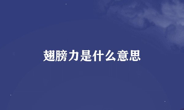 翅膀力是什么意思