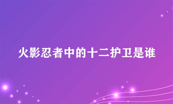 火影忍者中的十二护卫是谁