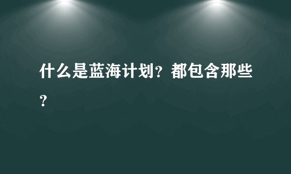 什么是蓝海计划？都包含那些？