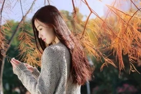 潘美辰的歌曲《我曾用心爱着你》