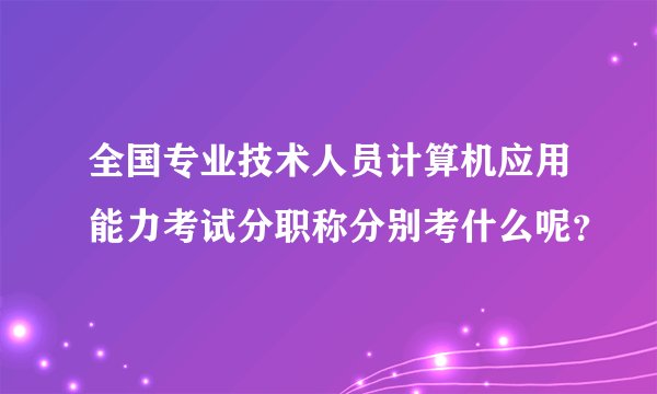 全国专业技术人员计算机应用能力考试分职称分别考什么呢？
