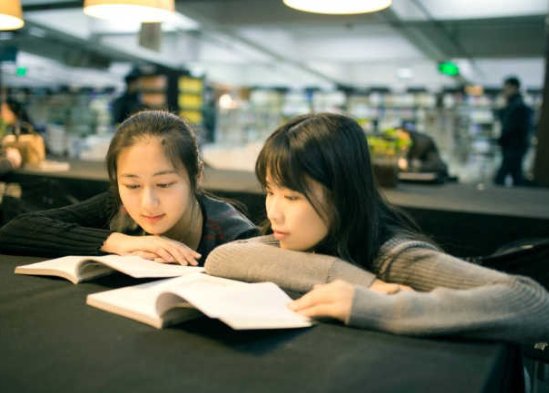 笔友是什么意思