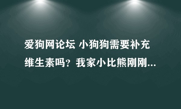 爱狗网论坛 小狗狗需要补充维生素吗？我家小比熊刚刚2个月，现在特爱咬东西，请问需要补充维生素