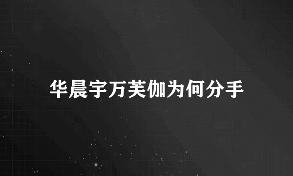 华晨宇万芙伽为何分手