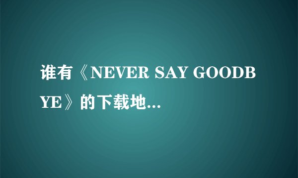 谁有《NEVER SAY GOODBYE》的下载地址啊？老鹰乐队的