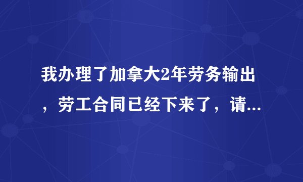 我办理了加拿大2年劳务输出，劳工合同已经下来了，请问如果面签不合格，还可以去吗？