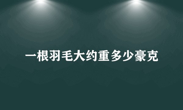 一根羽毛大约重多少豪克