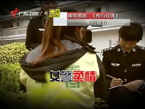 南粤警视的发展历程