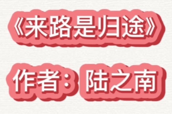 最火言情十大完结小说