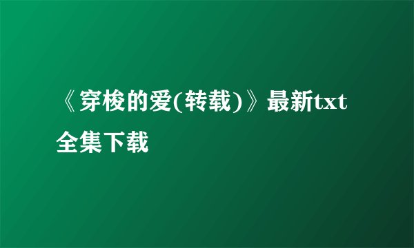 《穿梭的爱(转载)》最新txt全集下载