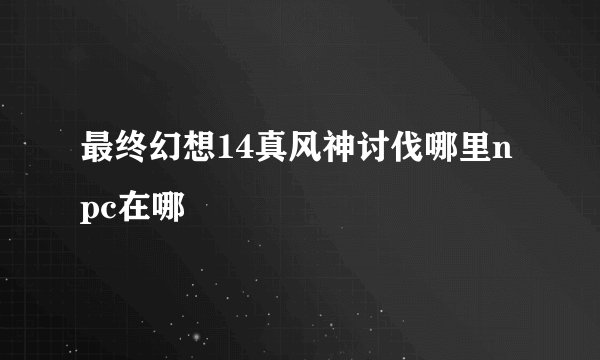 最终幻想14真风神讨伐哪里npc在哪