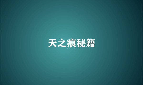 天之痕秘籍