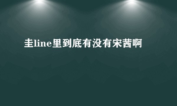 圭line里到底有没有宋茜啊