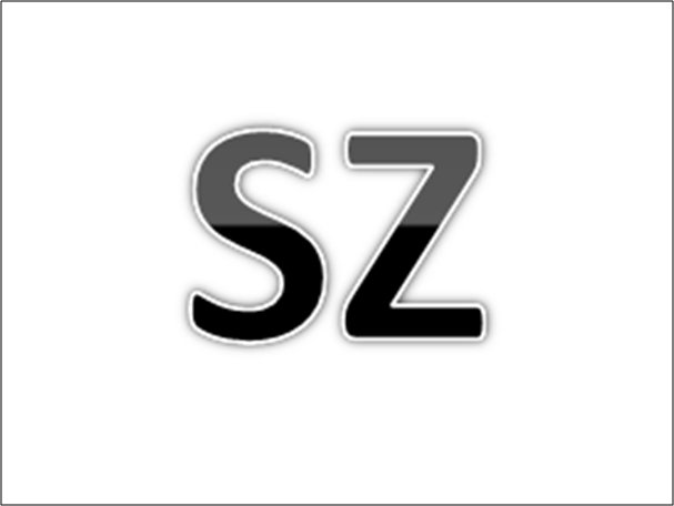 sz网络上是什么意思