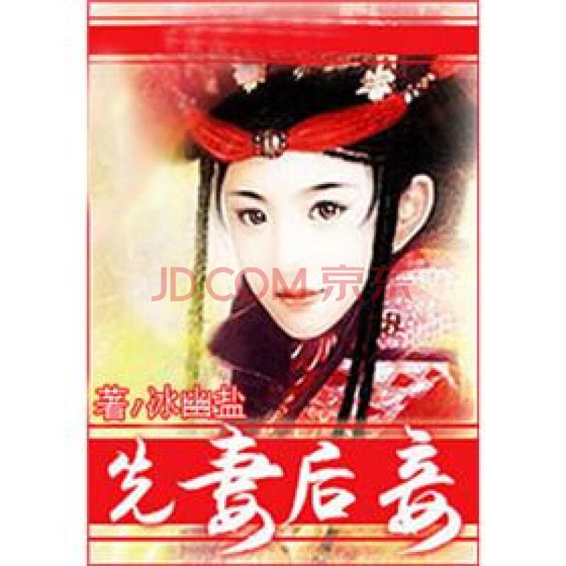 先妻后妾的内容简介