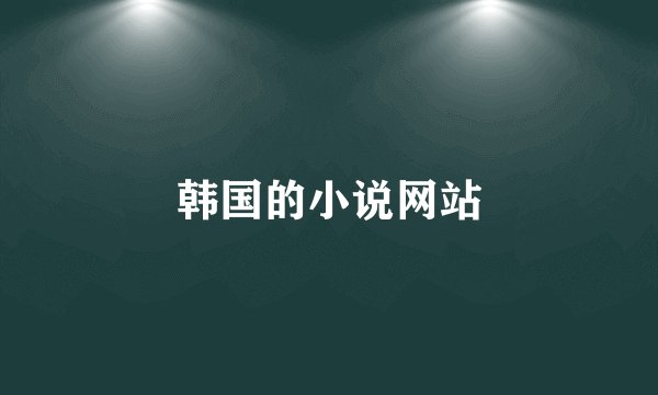 韩国的小说网站