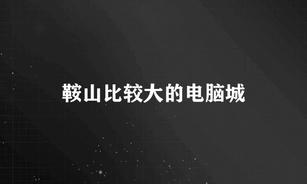 鞍山比较大的电脑城