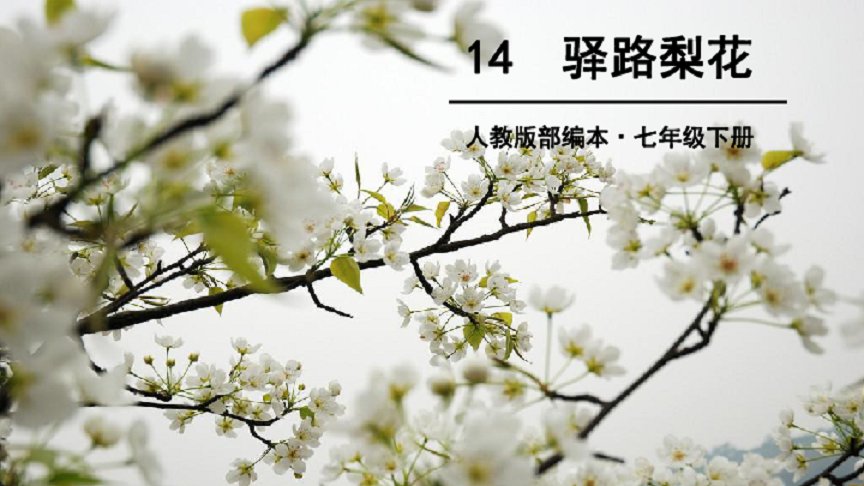 驿路梨花简介,笔记