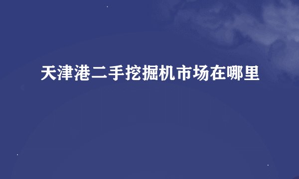 天津港二手挖掘机市场在哪里