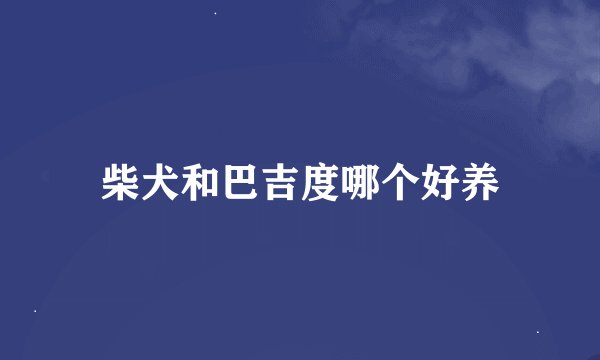 柴犬和巴吉度哪个好养