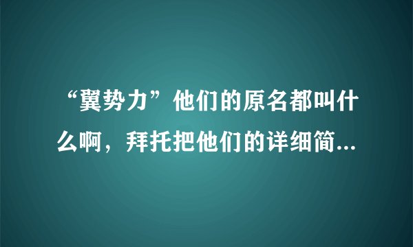 “翼势力”他们的原名都叫什么啊，拜托把他们的详细简介给我，请帮我找找，谢谢！