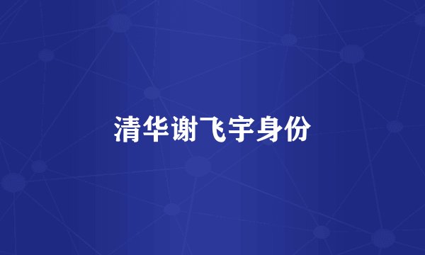 清华谢飞宇身份