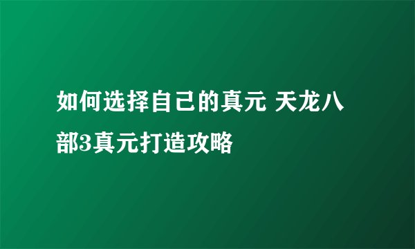 如何选择自己的真元 天龙八部3真元打造攻略