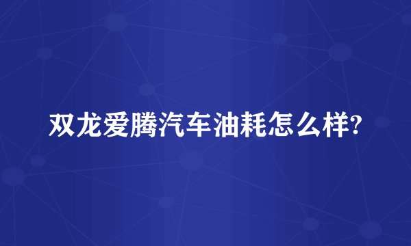 双龙爱腾汽车油耗怎么样?