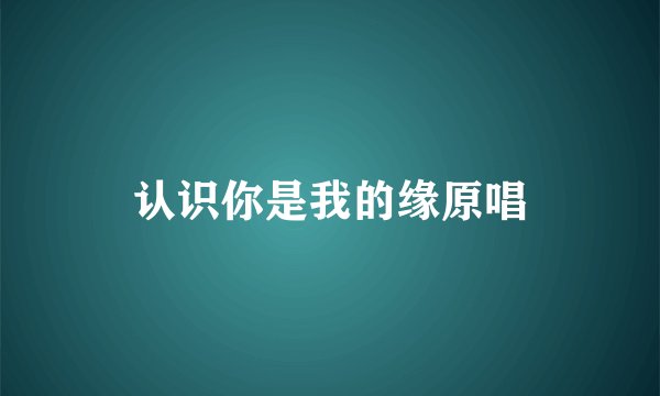 认识你是我的缘原唱