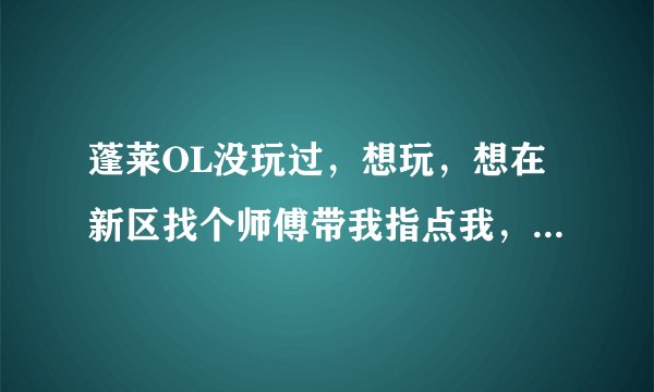 蓬莱OL没玩过，想玩，想在新区找个师傅带我指点我，而且帮我推荐个职业，有吗